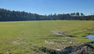 Dorchester County officials say the site’s occupant will have ready access to all major utilities. (Photo/Dorchester County Development Corp.)